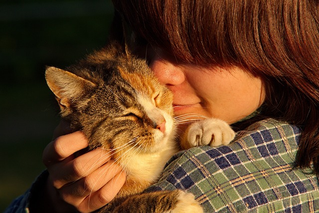pet