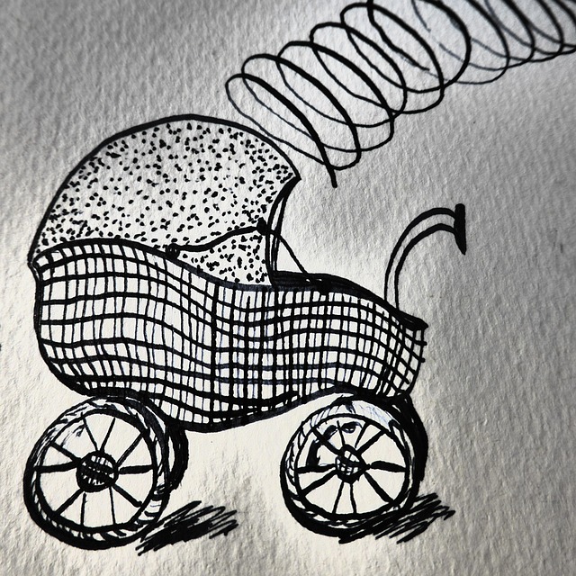 dog stroller