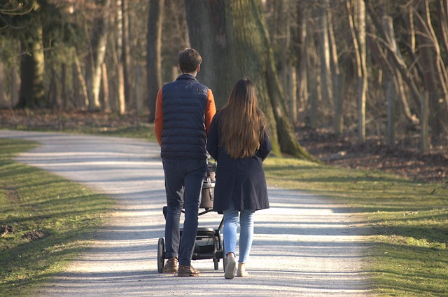 pet stroller
