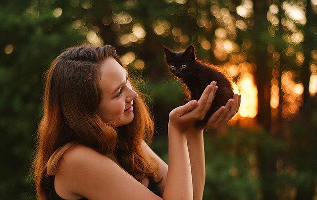 pets